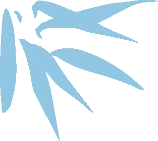 政策规则｜亚马逊卖家重复违规频发，账户停用风险升级，合规自救指南-新闻简介插图