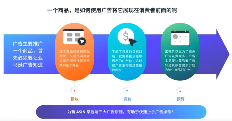 资料发布｜亚马逊发布新品成长手册，系统指导卖家全阶段推广策略-新闻简介插图