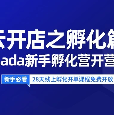 运营指导｜Lazada新手孵化营开营，全方位指导新商家掌握选品与运营技巧-文章封面图