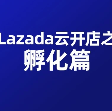 运营指导｜Lazada新手孵化营｜Flexi combo+包邮+GC流量攻略，助你实现日出百单