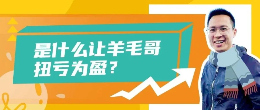 运营指导｜亚马逊卖家‘羊毛哥’：从亏损百万到新品5天成爆款，数据驱动选品与广告策略-文章封面图