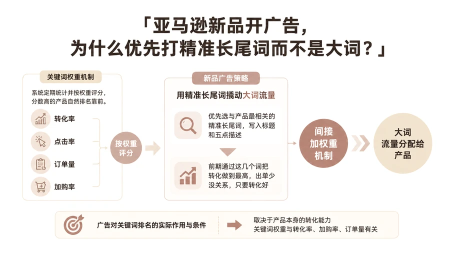 亚马逊新品开广告，为什么优先打精准长尾词而不是大词？ 文章主题框架图