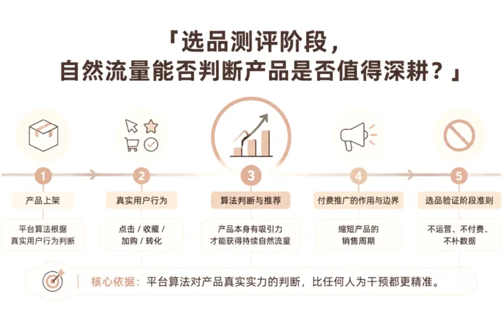 选品测评阶段，自然流量能否判断产品是否值得深耕？ 文章主题框架图