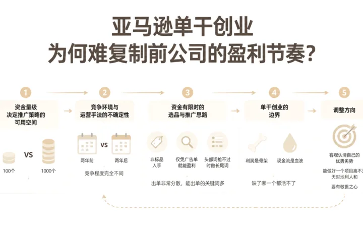 亚马逊单干创业为何难复制前公司的盈利节奏？ 文章主题框架图