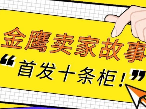 市场趋势｜eBay汽摩配OBD赛道爆发，星卡科技如何实现百万美元增长？-新闻简介插图
