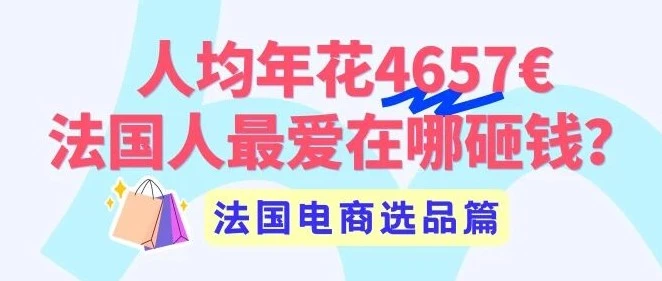 市场趋势｜法国人均网购 4657€揭秘高频刚需品类，Cdiscount 第三方卖家份额升至 32%