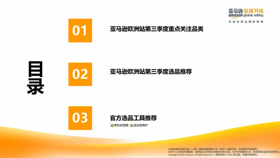 2025年第三季度亚马逊欧洲站选品推荐-18页-文章封面图