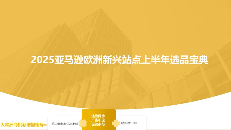 2025亚马逊欧洲新兴站点选品策略-39页-文章封面图