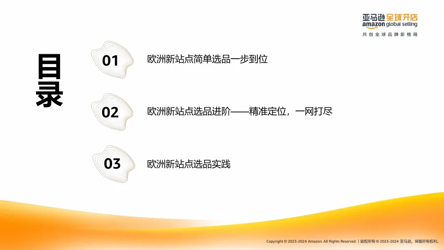 2025亚马逊欧洲新兴站点选品策略-39页-文章简介图