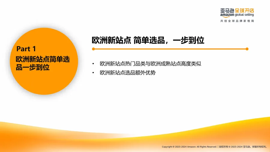 2025亚马逊欧洲新兴站点选品策略-39页-文章场景图