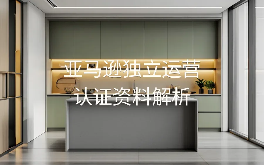 亚马逊独立运营认证资料解析-5页-文章封面图