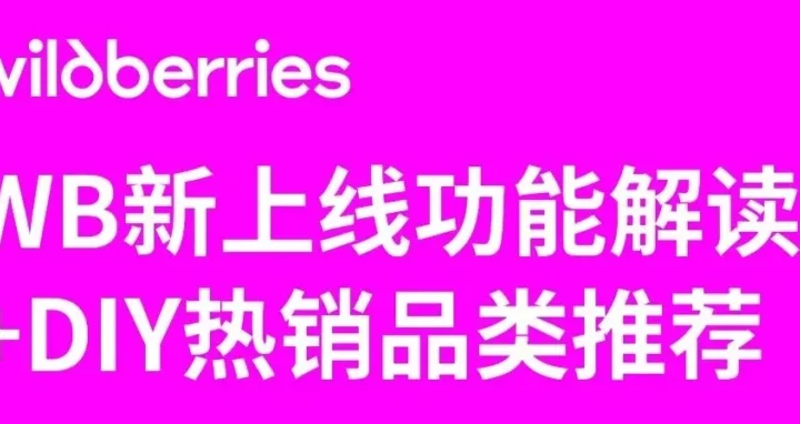 官方活动｜Wildberries直播解读新功能与DIY热销品类