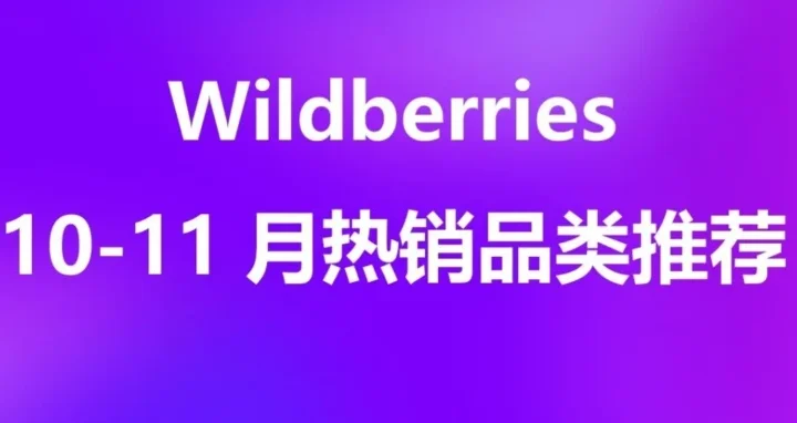 市场趋势｜Wildberries 10-11 月迎三大大促，家电服饰全品类爆发，内存条销量激增 119%
