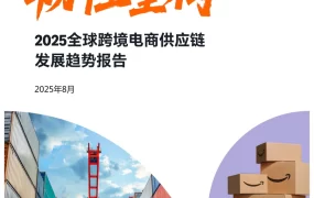 2025全球跨境电商供应链发展趋势报告-30页